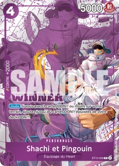 Shachi et Pingouin ST10-008 P2 Carte promo